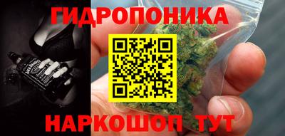 ECSTASY Канаш