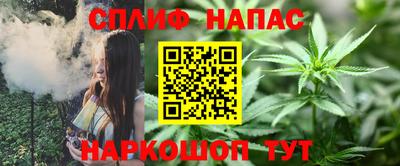 ECSTASY Канаш