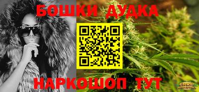 ECSTASY Канаш