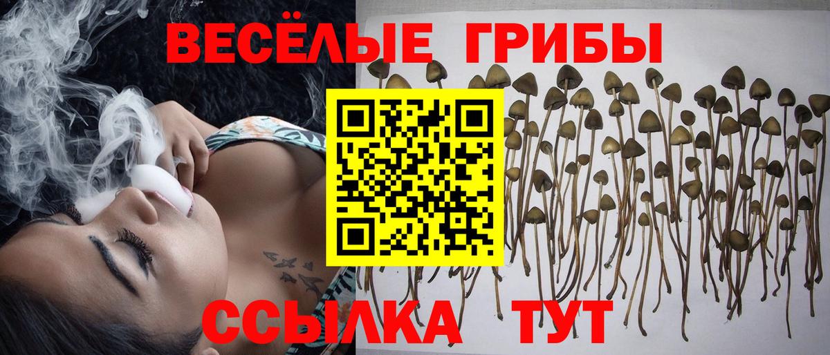Красноярск  Галлюциногенные грибы прущие грибы  Галлюциногенные грибы мицелий  Вход с VPN 