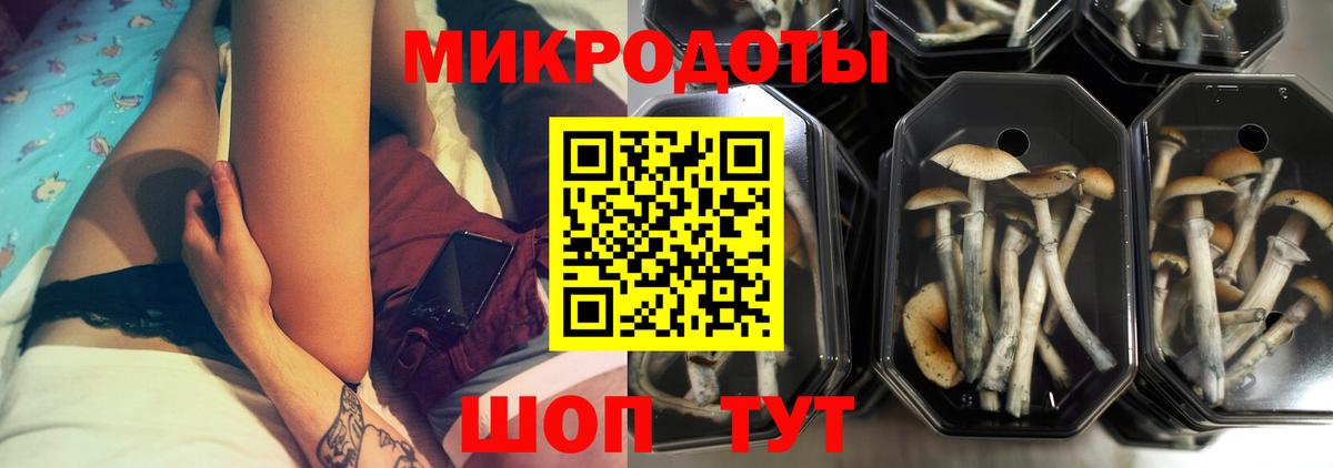 Галлюциногенные грибы MAGIC MUSHROOMS Красноярск